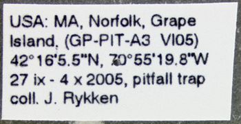Media type: image;   Entomology 600330 Aspect: labels